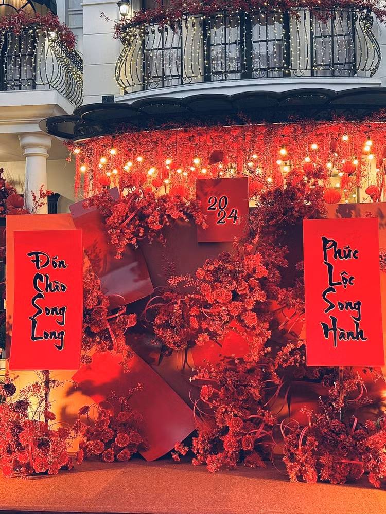 Can canh biet thu long lay san sang don Tet cua Doan Di Bang-Hinh-4