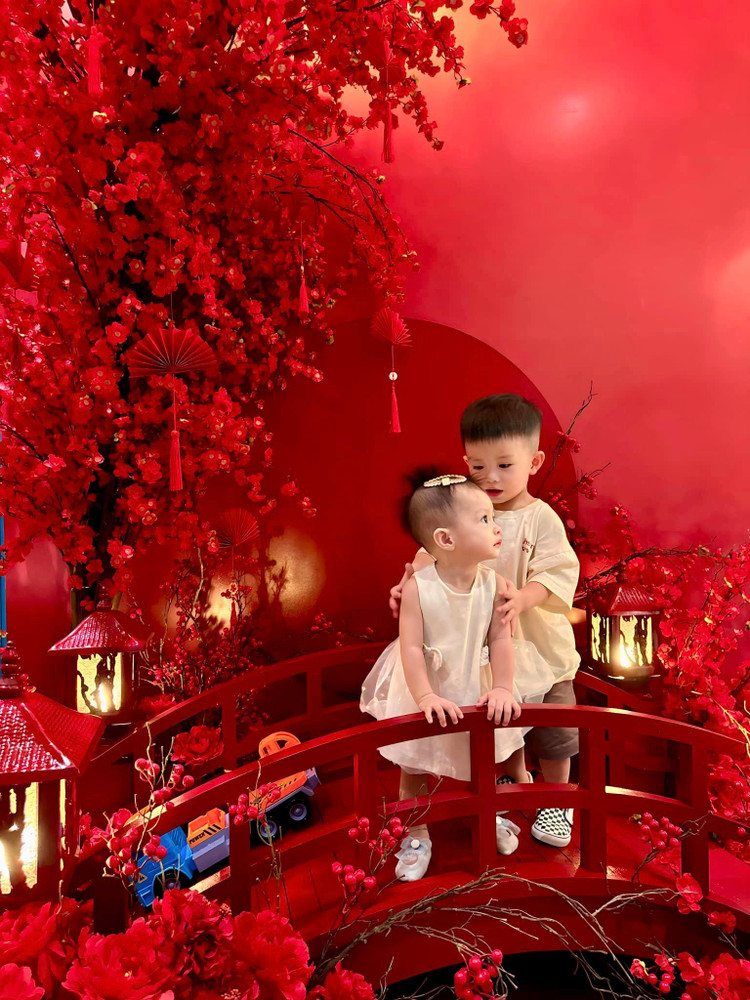 Can canh biet thu long lay san sang don Tet cua Doan Di Bang-Hinh-5