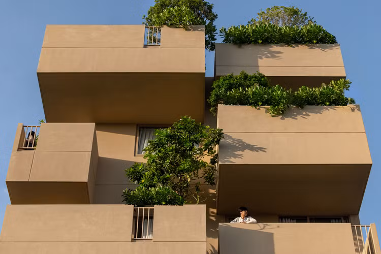 Doc dao nha khoi bay lo lung giua thien nhien o Vung Tau-Hinh-5