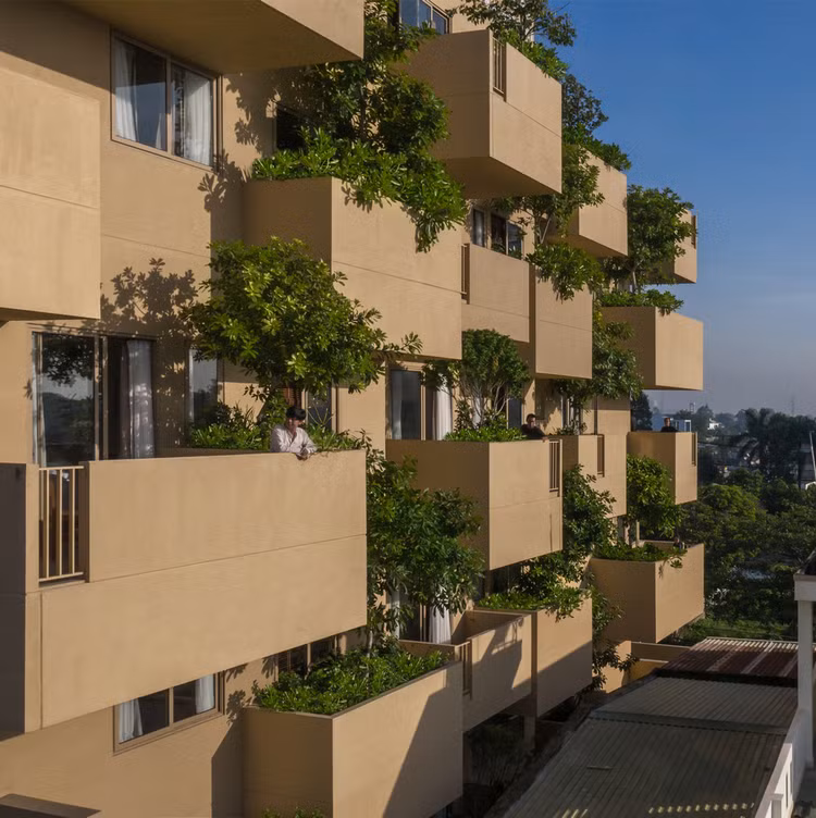 Doc dao nha khoi bay lo lung giua thien nhien o Vung Tau-Hinh-6