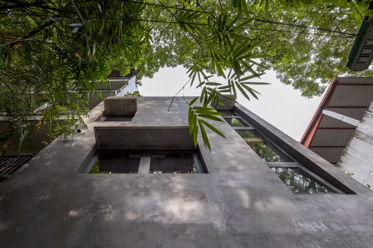 Doc dao ngoi nha bien anh nang thanh nhung bong hoa