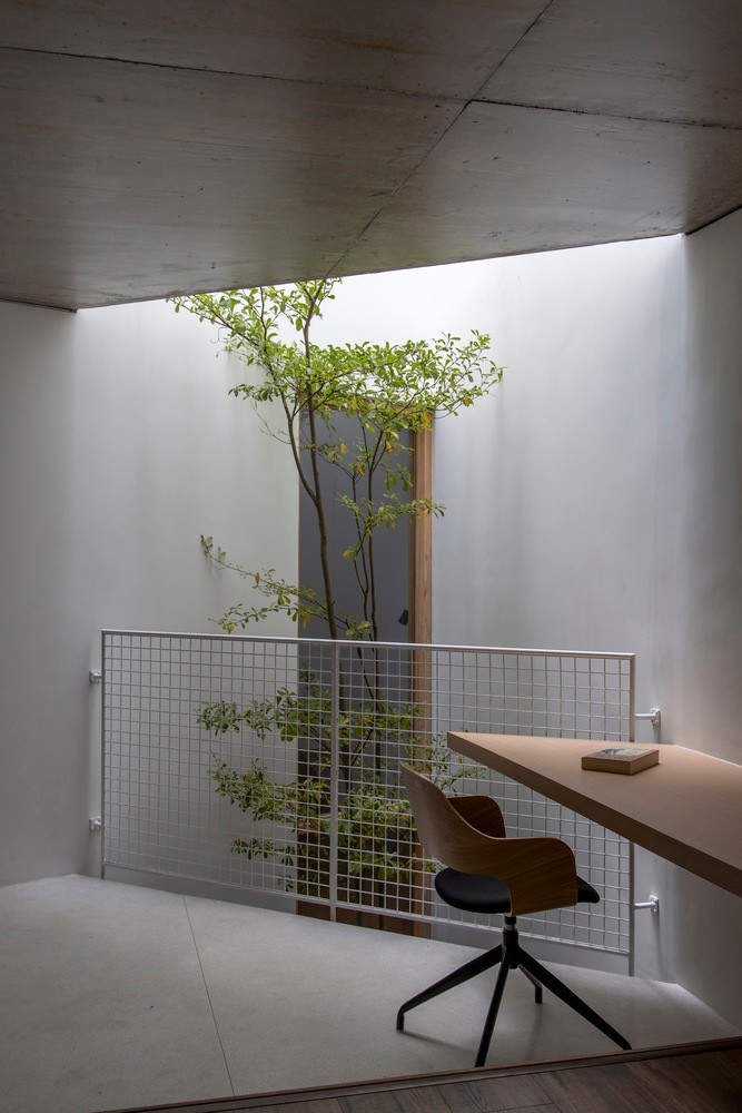 Doc dao ngoi nha bien anh nang thanh nhung bong hoa-Hinh-9