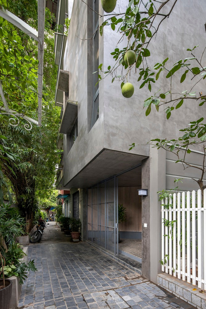 Doc dao ngoi nha bien anh nang thanh nhung bong hoa-Hinh-2