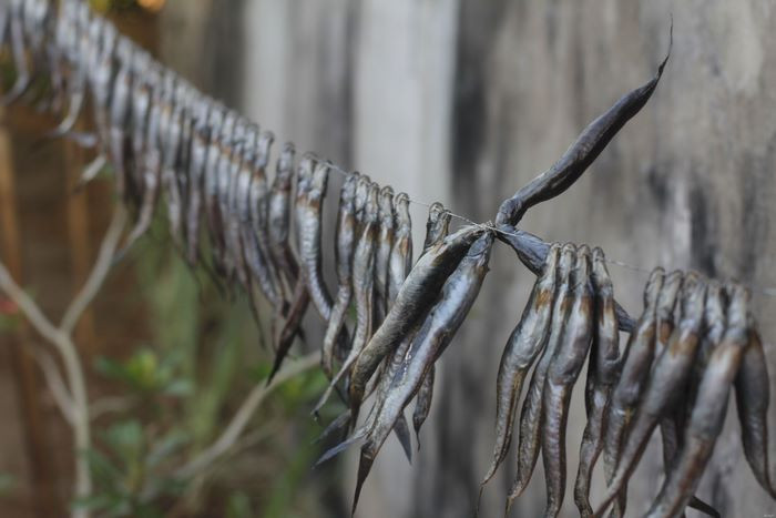 Loai ca xua re nhu cho, nay nua trieu/kg khach thi nhau mua-Hinh-7