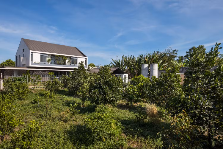 Ngoi nha nghin met vuong “thang canh co bay” o Vung Tau-Hinh-2