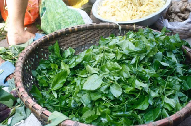 Cay dai cho lon an “hoa” dac san khien dan thanh pho thich me-Hinh-3