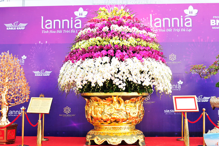 Ngam chau lan ho diep dat vang gan 4 ty tai Ha Noi-Hinh-2