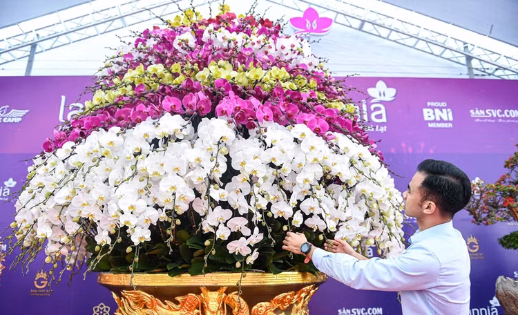 Ngam chau lan ho diep dat vang gan 4 ty tai Ha Noi-Hinh-6