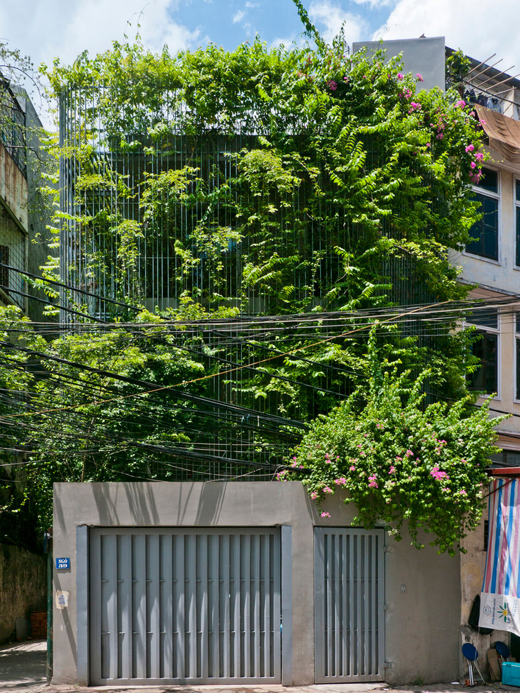 Man nhan nha pho nhu oc dao xanh giua long Ha Noi