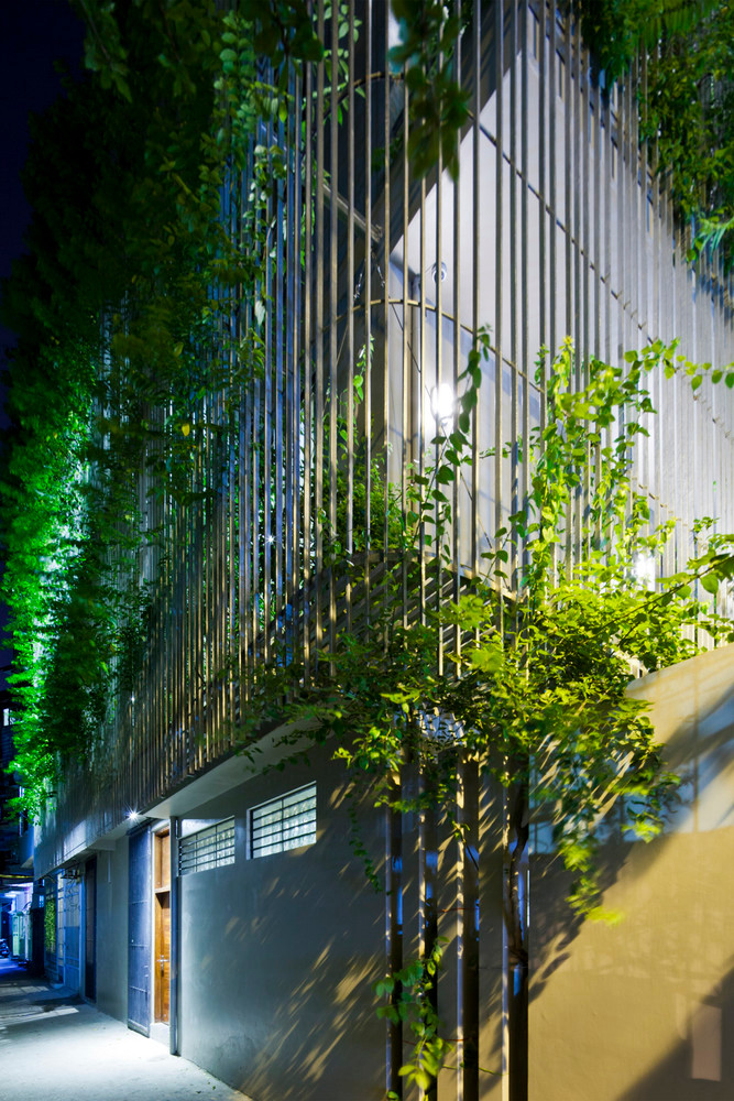 Man nhan nha pho nhu oc dao xanh giua long Ha Noi-Hinh-7