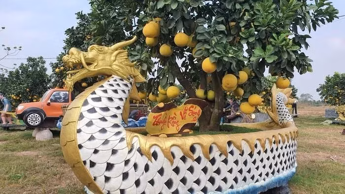 Can canh chau buoi hinh rong tram trieu hut dai gia choi Tet-Hinh-9