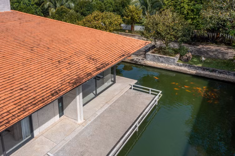 Bao My nuc no khen biet thu lo lung giua mat nuoc o Dong Nai-Hinh-5