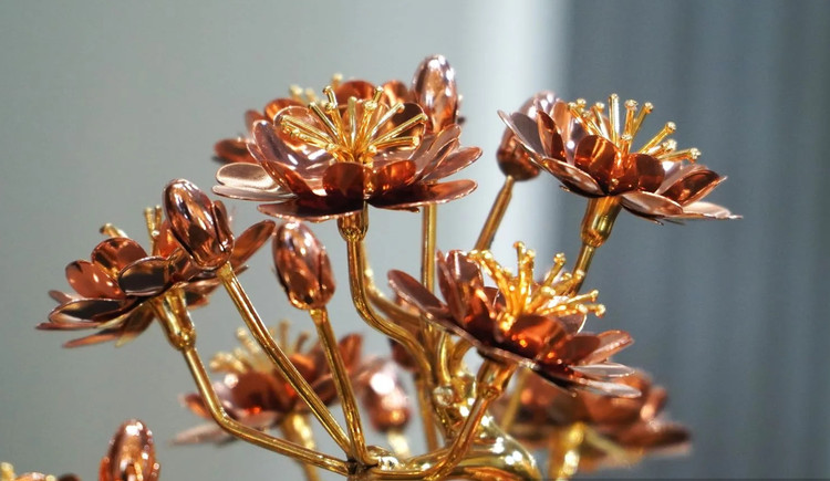 Chiem nguong cay dao ma vang 1,3 ty lon nhat Viet Nam-Hinh-9