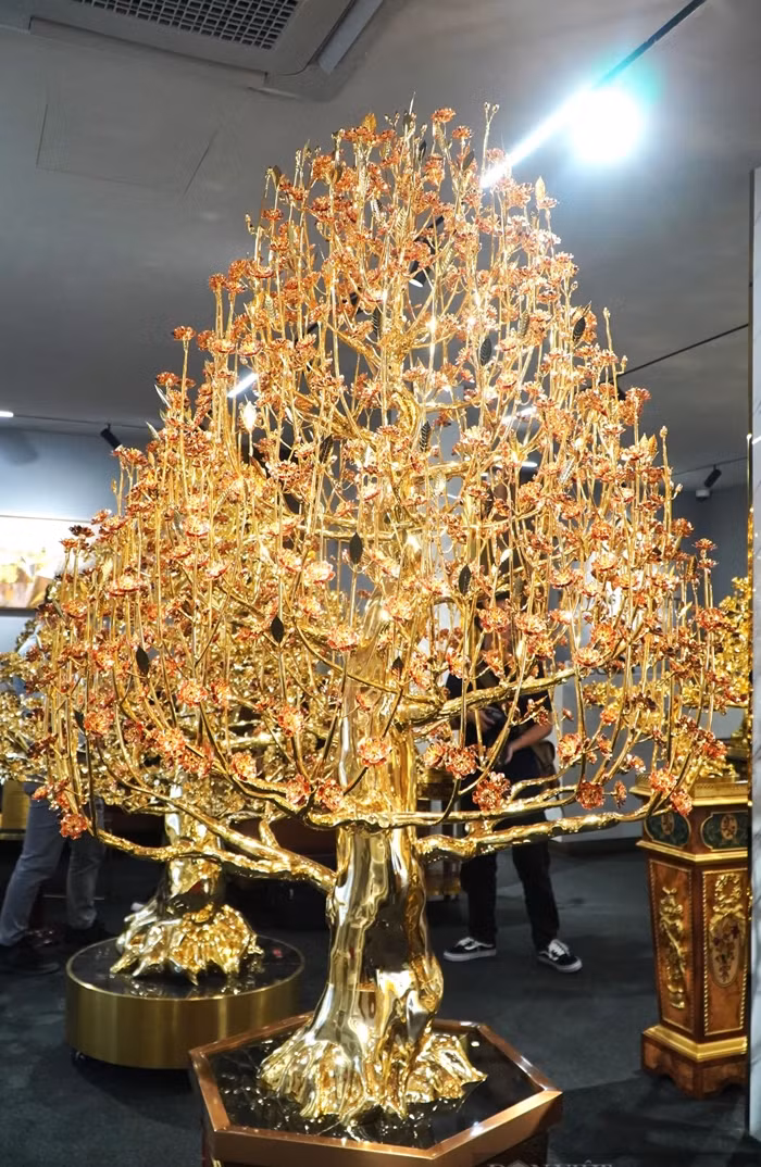 Chiem nguong cay dao ma vang 1,3 ty lon nhat Viet Nam-Hinh-3