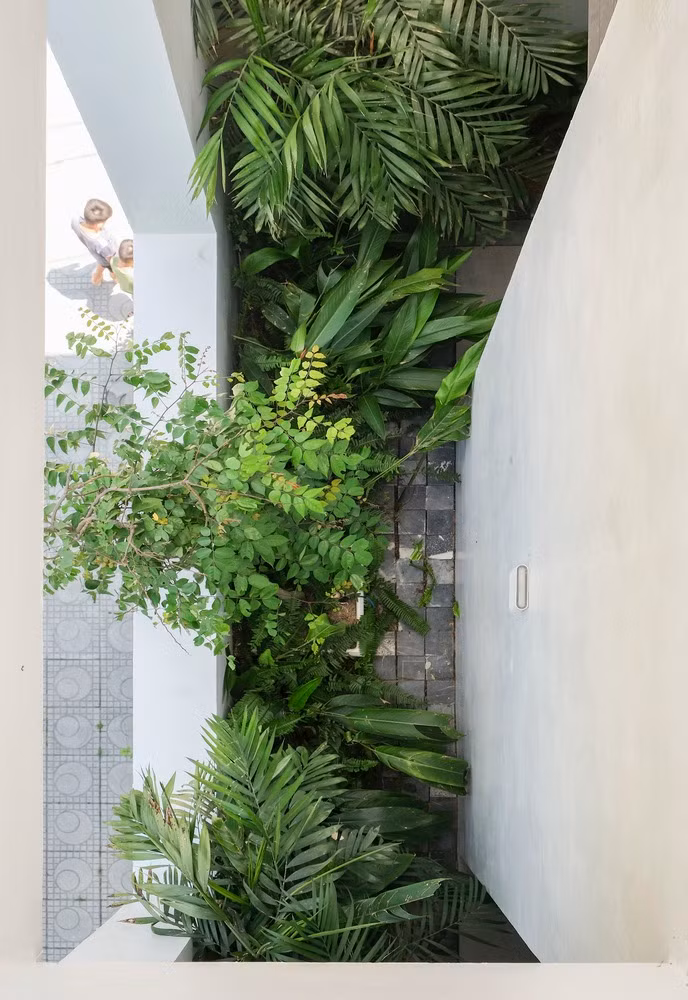 Nha huong Tay quanh nam mat me giua vung nui Tay Bac-Hinh-5