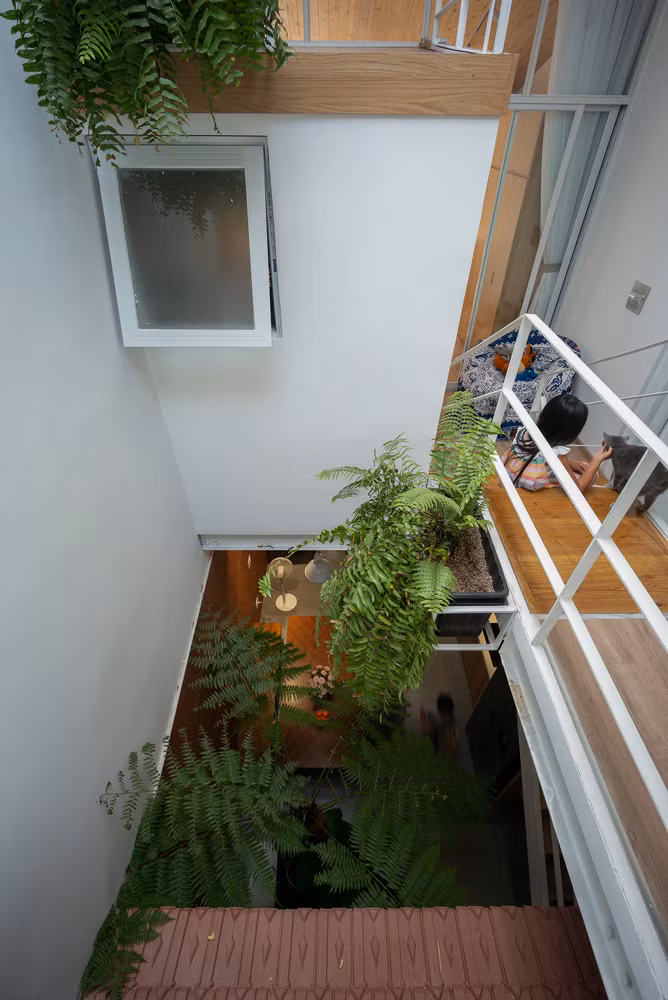 Ngo ngang ngoi nha ket cau thep nhu nhanh lan rung dang khoe sac-Hinh-12