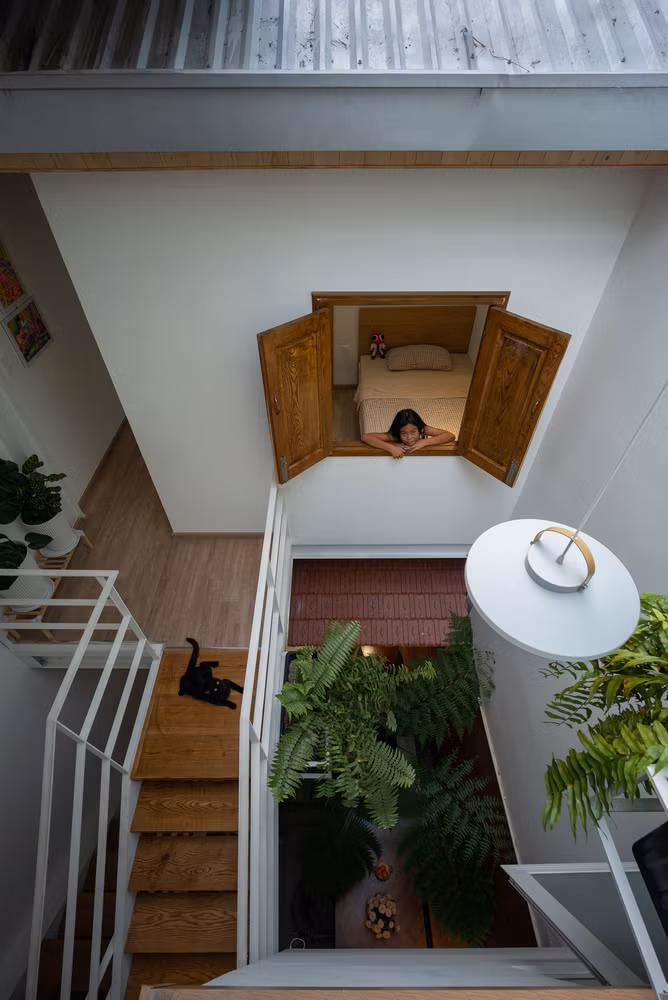 Ngo ngang ngoi nha ket cau thep nhu nhanh lan rung dang khoe sac-Hinh-6