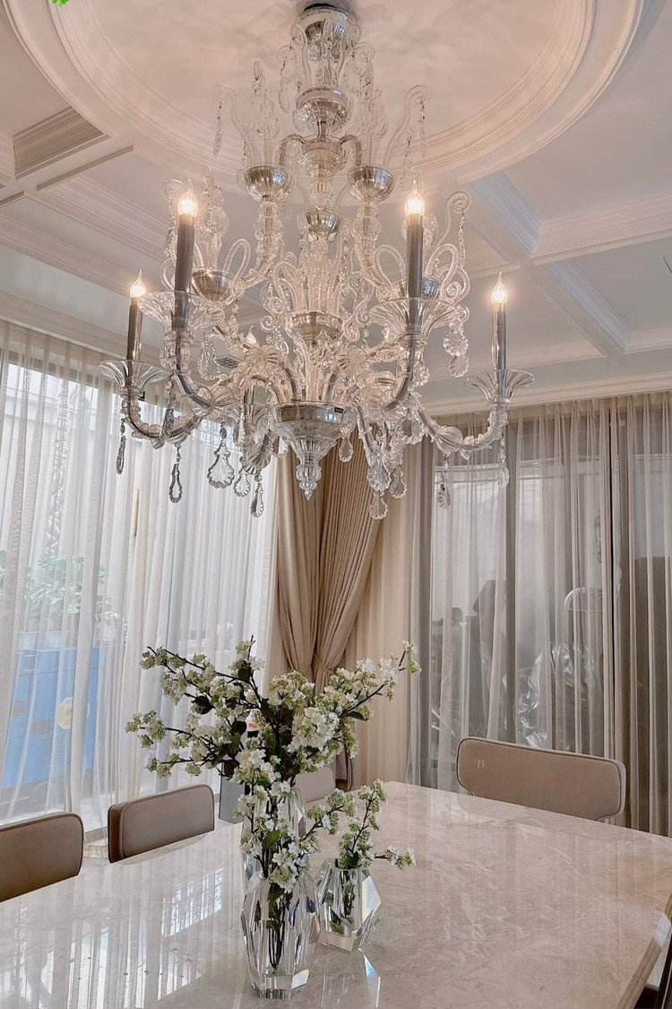 Noi that xa hoa gay sot trong biet thu 600m2 cua Le Quyen-Hinh-5