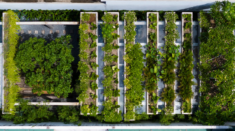 Bao My nuc no khen toa nha “chay tron khoi bui” o Khanh Hoa-Hinh-6