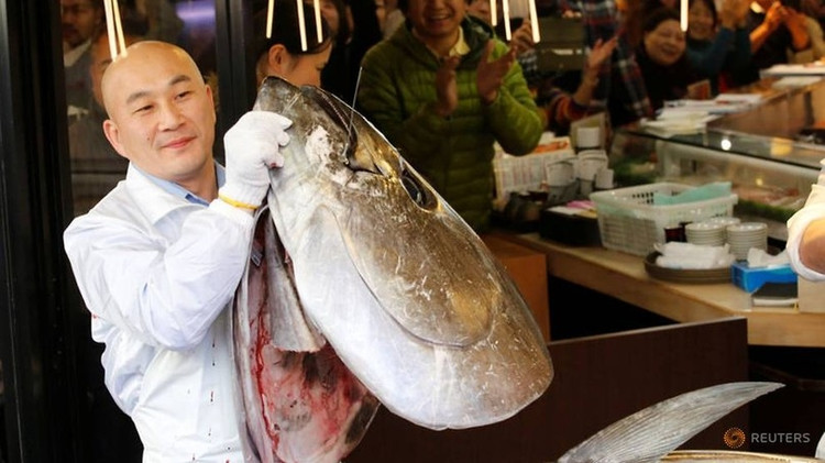 Can canh ca ngu khong lo 72 ty khien dai gia xuong tien-Hinh-7