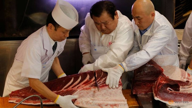 Can canh ca ngu khong lo 72 ty khien dai gia xuong tien-Hinh-5