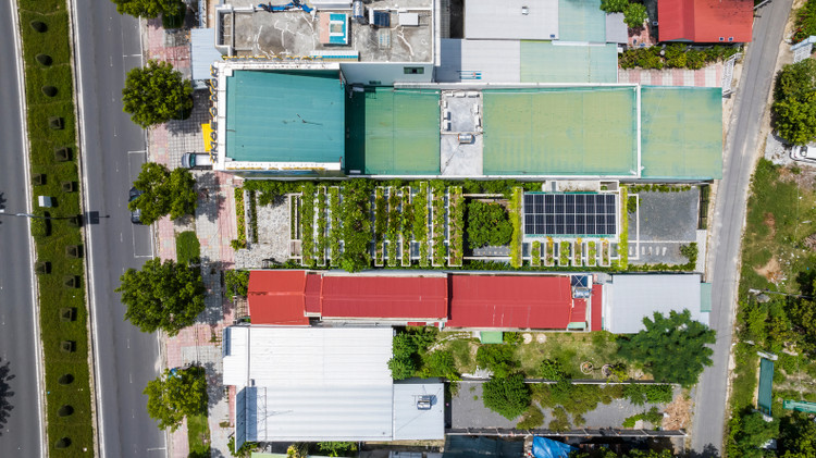 Van phong moc giua rung cay “doc nhat vo nhi” tai Khanh Hoa