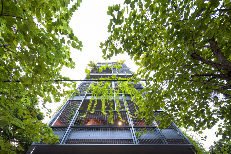Phu rem xanh ben ngoai, nha Ha Noi dep nghieng nga tren bao My-Hinh-2