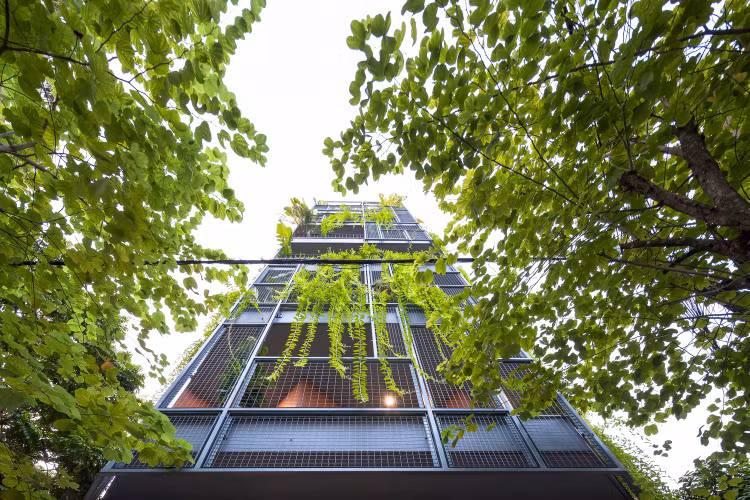 Phu rem xanh ben ngoai, nha Ha Noi dep nghieng nga tren bao My-Hinh-2