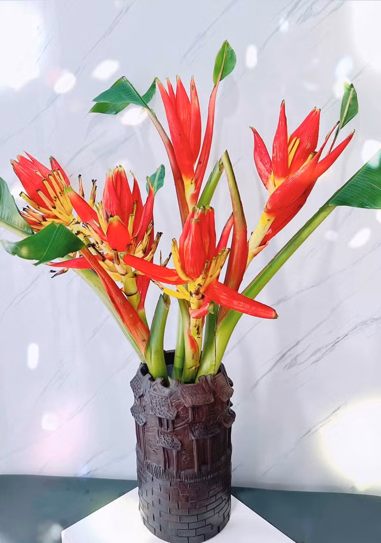 Hoa chuoi rung xuong pho bat ngo thanh dac san hut khach