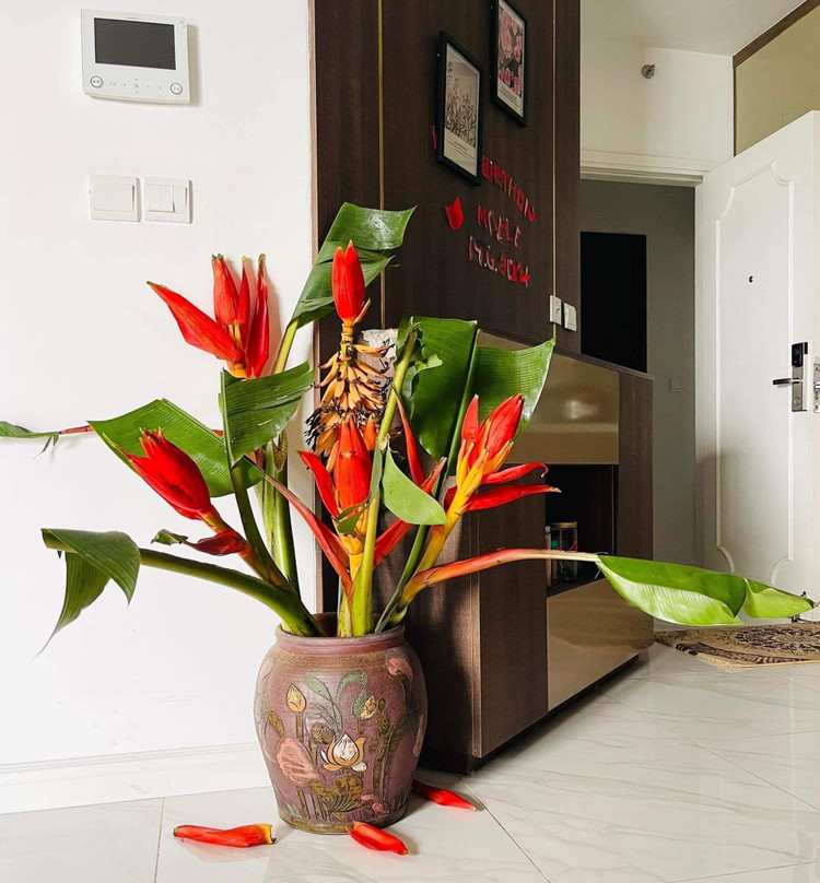 Hoa chuoi rung xuong pho bat ngo thanh dac san hut khach-Hinh-9