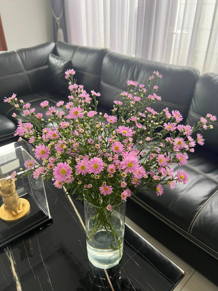 Ben trong biet thu 20 ty tran ngap sac hoa cua Cam Ly-Hinh-6