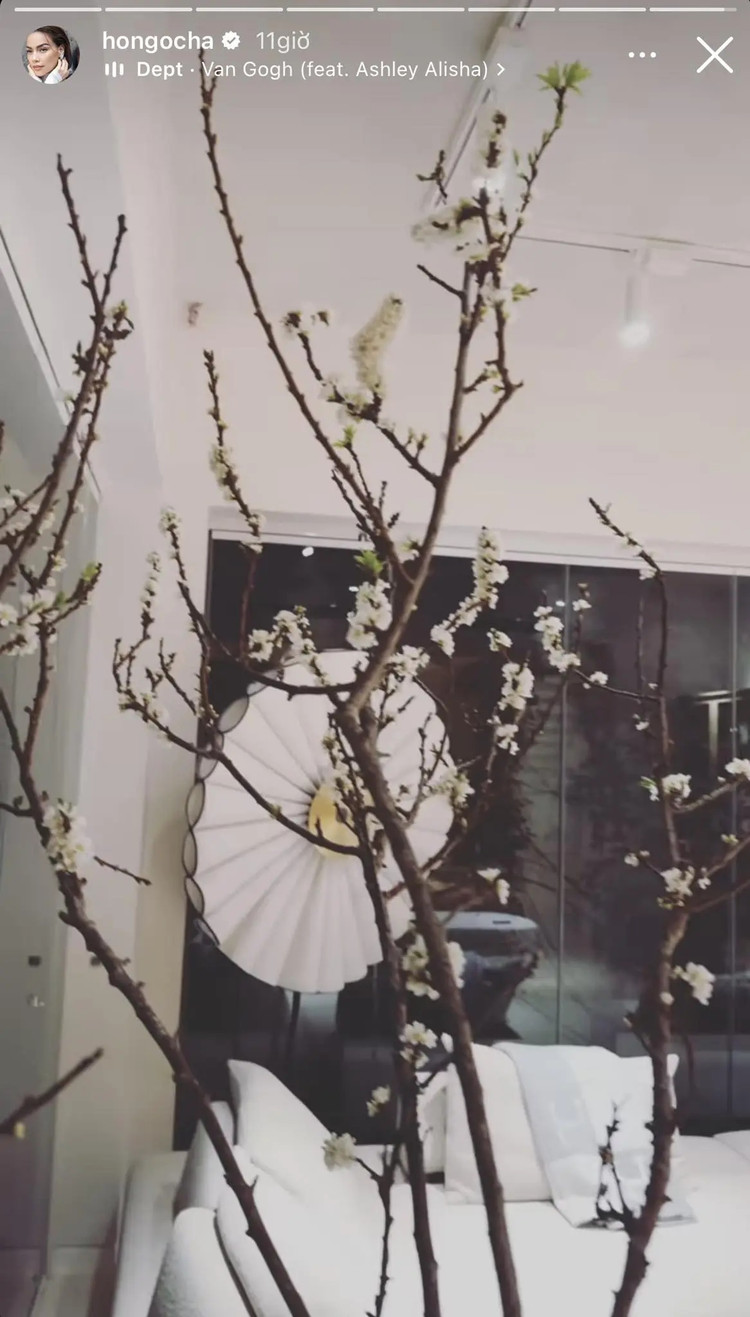 Biet thu 30 ty “van nguoi me” cua Ho Ngoc Ha - Kim Ly-Hinh-7