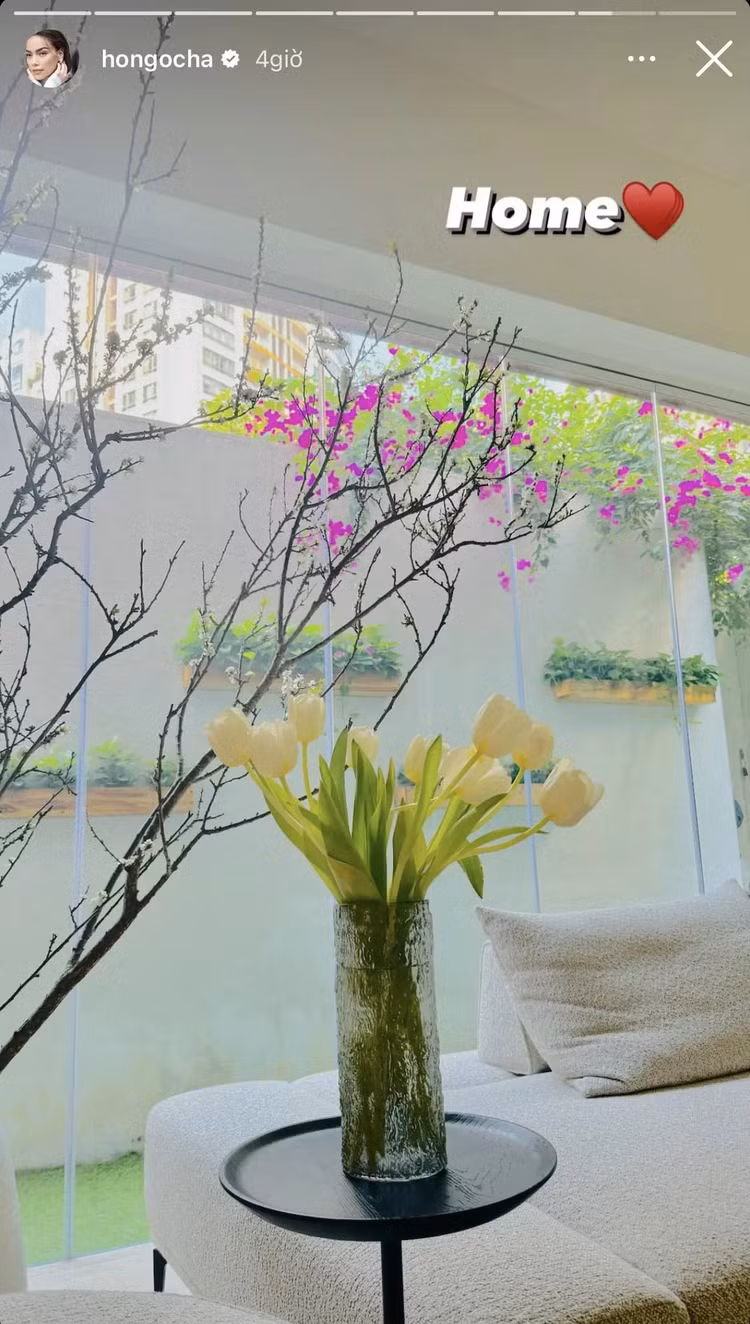 Biet thu 30 ty “van nguoi me” cua Ho Ngoc Ha - Kim Ly-Hinh-6