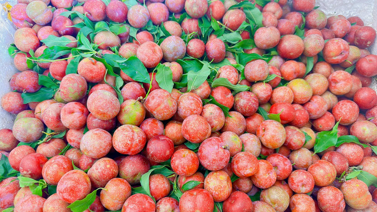 Man dau mua dat hon thit, khach van “ram rap” xuong tien mua-Hinh-8