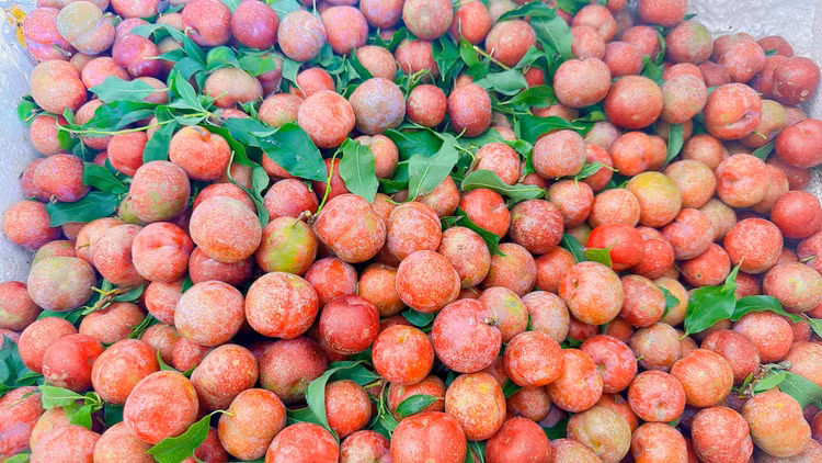 Man dau mua dat hon thit, khach van “ram rap” xuong tien mua-Hinh-8