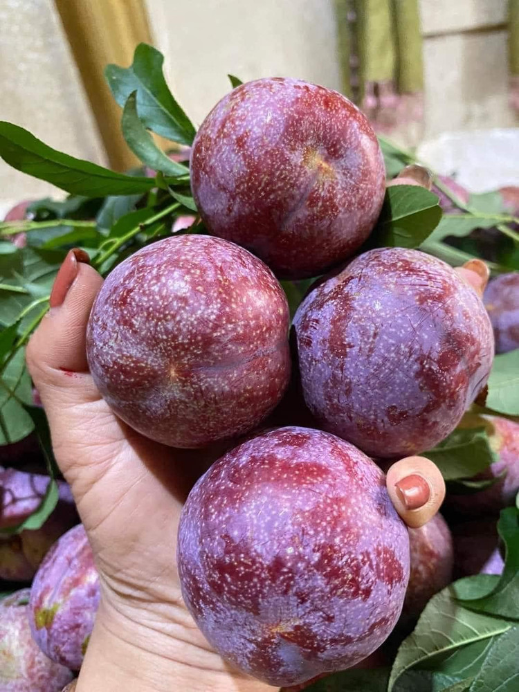 Man dau mua dat hon thit, khach van “ram rap” xuong tien mua-Hinh-3