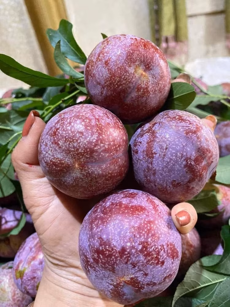 Man dau mua dat hon thit, khach van “ram rap” xuong tien mua-Hinh-3