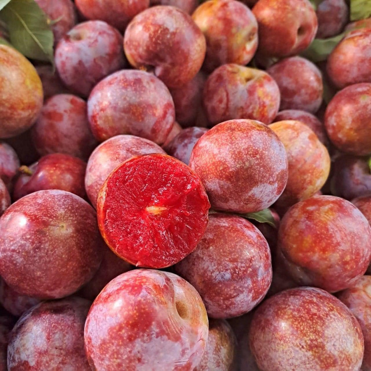 Man dau mua dat hon thit, khach van “ram rap” xuong tien mua-Hinh-6