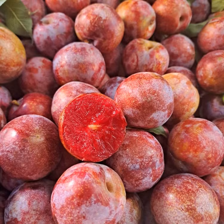 Man dau mua dat hon thit, khach van “ram rap” xuong tien mua-Hinh-6