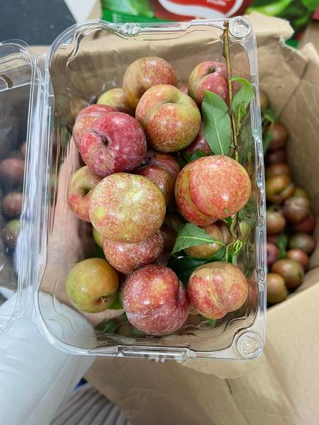 Man dau mua dat hon thit, khach van “ram rap” xuong tien mua-Hinh-4