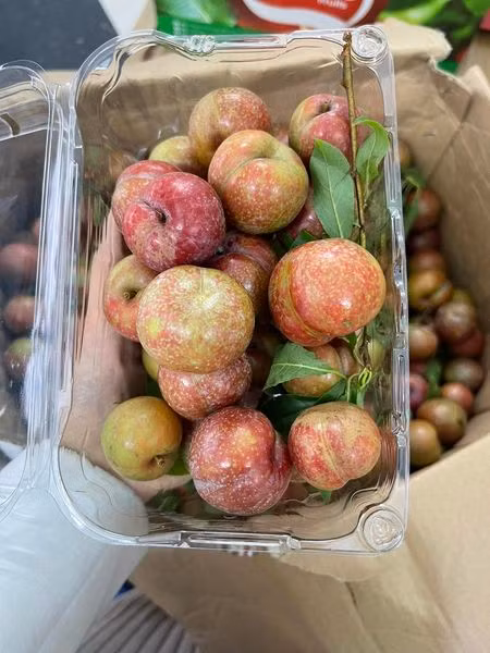 Man dau mua dat hon thit, khach van “ram rap” xuong tien mua-Hinh-4