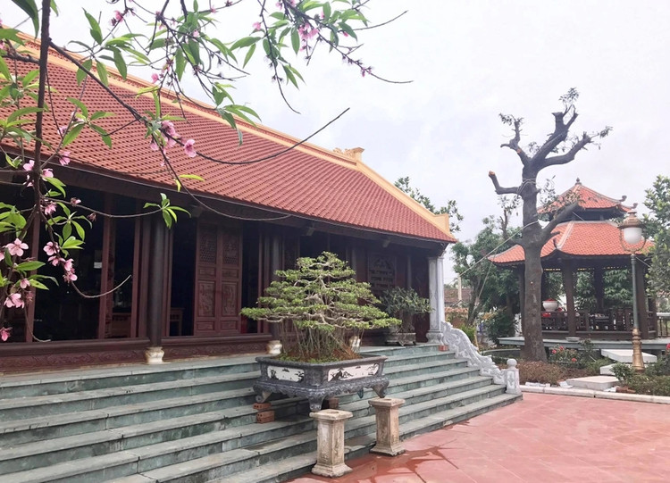 Biet phu go lim “di nua ngay khong het” tai Nam Dinh-Hinh-11