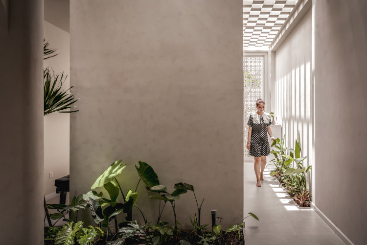 Thiet ke 7 khu vuon, nha ong can nang gat, mat ruoi quanh nam-Hinh-7