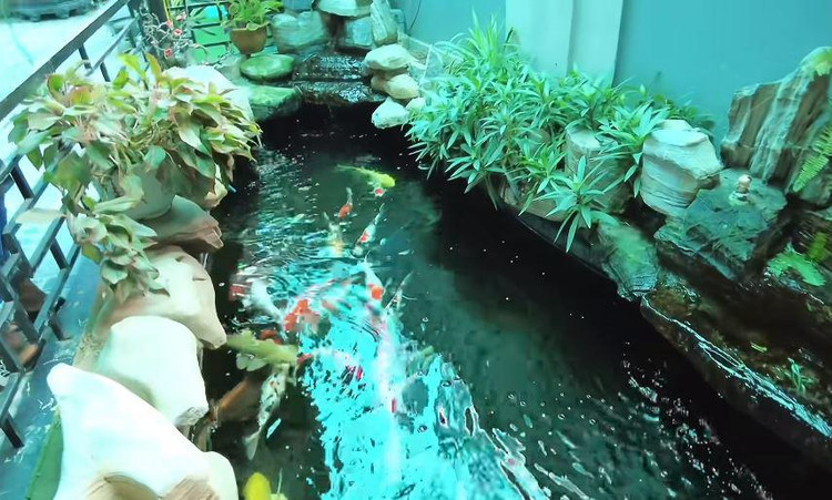 Can canh ngoi nha khang trang cua Quang Linh Vlogs tai Nghe An-Hinh-5