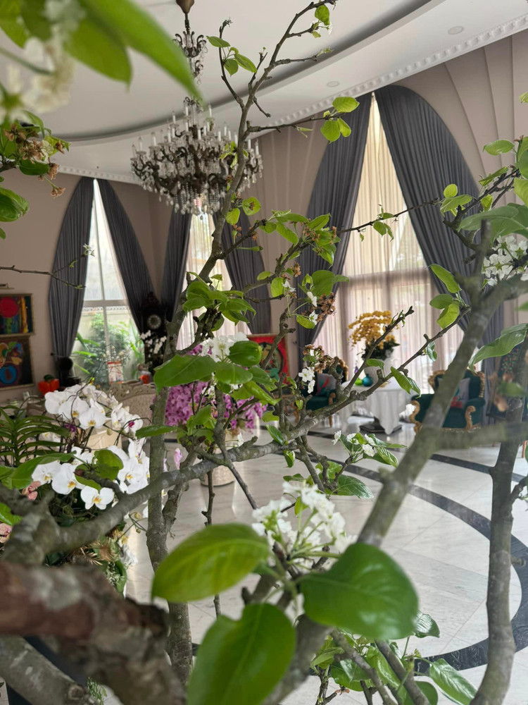 Biet thu do so cua Hoa hau 53 tuoi van dep nhu bup be-Hinh-10