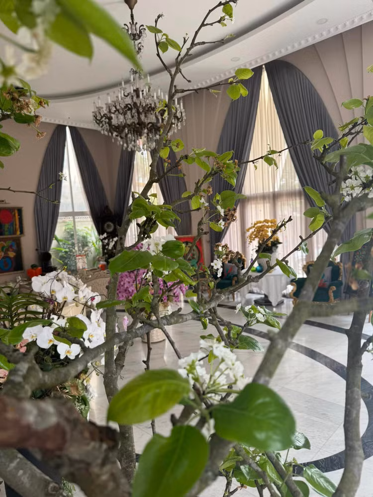 Biet thu do so cua Hoa hau 53 tuoi van dep nhu bup be-Hinh-10