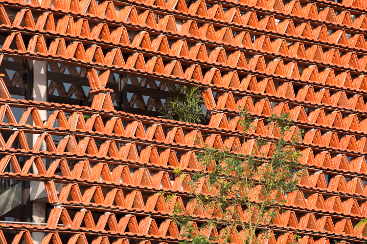 Lam tuong bang 20.000 vien ngoi, nha Viet khien bao My ngo ngang-Hinh-6