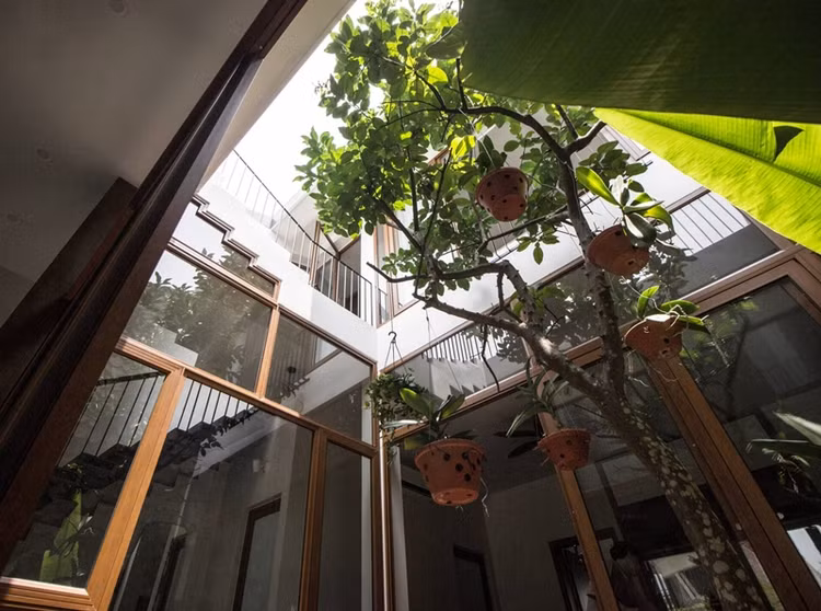 Ngam nha mai doc xoe rong doc nhat vo nhi o Hai Phong-Hinh-11