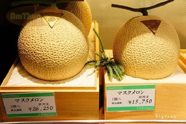 Cap dua luoi Nhat Ban vua ban gan nua ty co gi dac biet?-Hinh-7