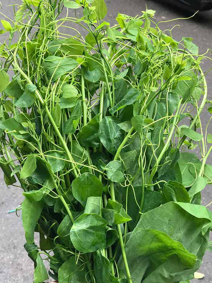 Bat ngo loai rau moc dai o Viet Nam nay xuat khau di My-Hinh-2